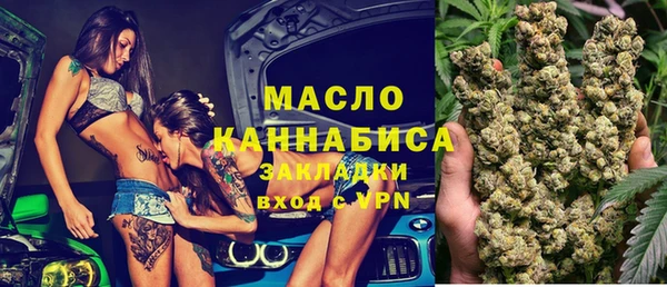 индика Абаза