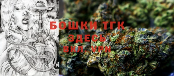 индика Абаза