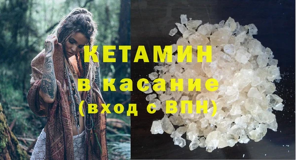индика Абаза