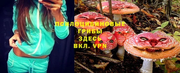 ГАЛЛЮЦИНОГЕННЫЕ ГРИБЫ Абдулино