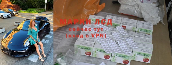гашик Алексин