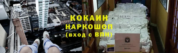 индика Абаза