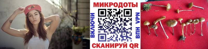 где купить наркотик  площадка клад  Псилоцибиновые грибы прущие грибы  Чухлома 